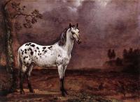 Paulus Potter - The Spotted Horse